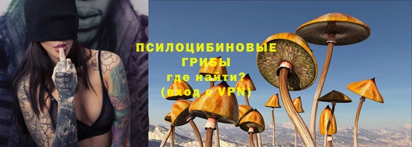меф Алексин