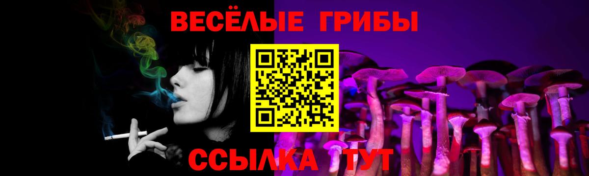 Псилоцибиновые грибы Magic Shrooms  Псилоцибиновые грибы мухоморы  цены   Вход с VPN  Махачкала 